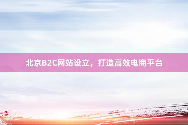 北京B2C网站设立，打造高效电商平台