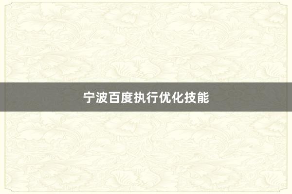 宁波百度执行优化技能