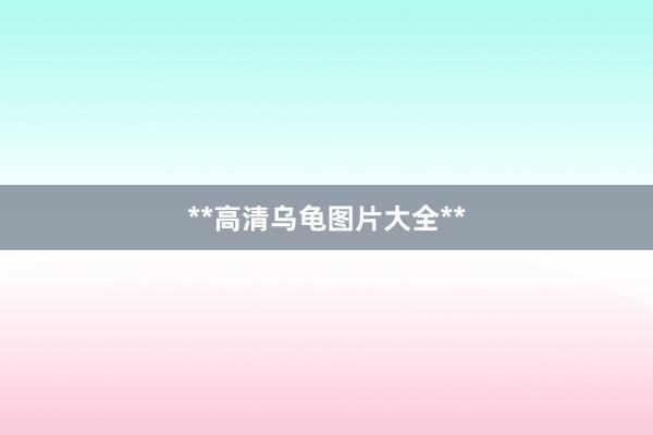 **高清乌龟图片大全**